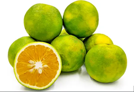 sweet lime ( mousambhi ) 1 kg