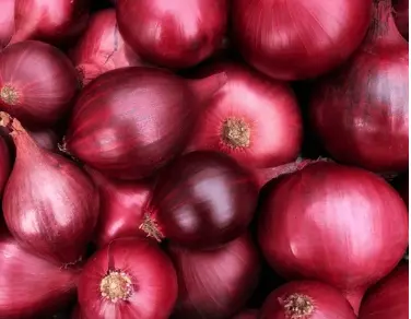 Onion (Pyaj)   1 kg