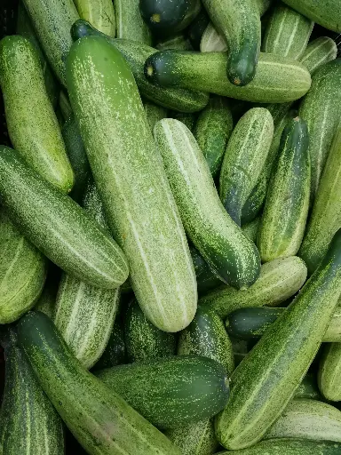 Cucumber ( Khira ) 1 kg