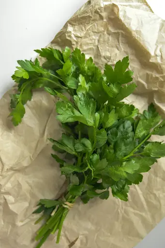 Coriander leaves ( Dhania Pati ) 2 pairs